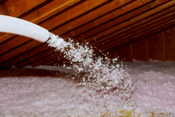 Best Insulation Maintenance and Repair in Smithfield, VA